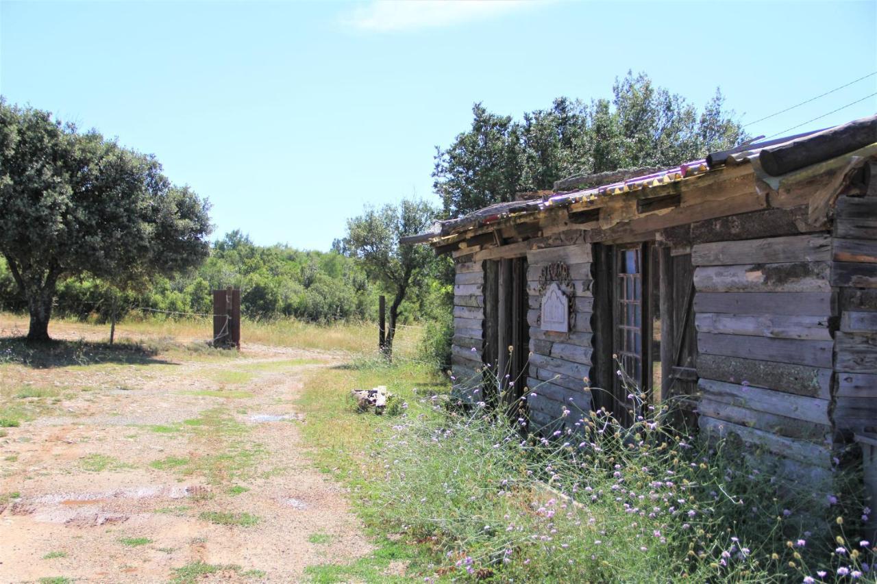 Gîtes Gard Nature Et Piscine Russan Exterior foto