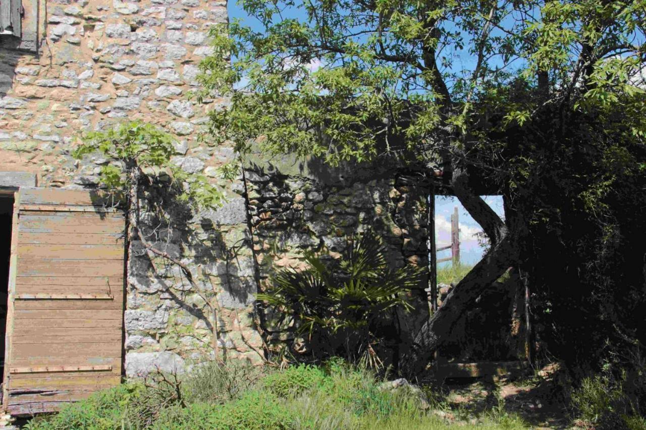Gîtes Gard Nature Et Piscine Russan Exterior foto
